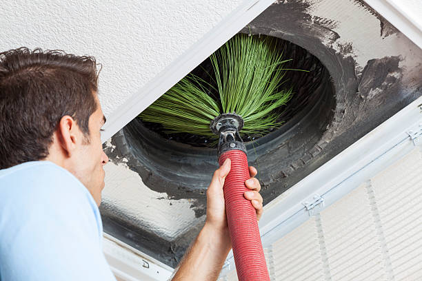 Best Air Duct Cleaning Cost  in Lanse, MI